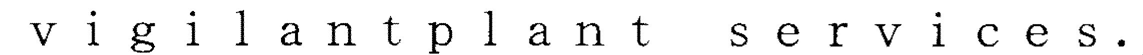 ｖｉｇｉｌａｎｔｐｌａｎｔ　ｓｅｒｖｉｃｅｓ．