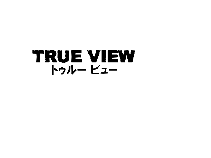 ＴＲＵＥ　ＶＩＥＷ＼トゥルー　ビュー