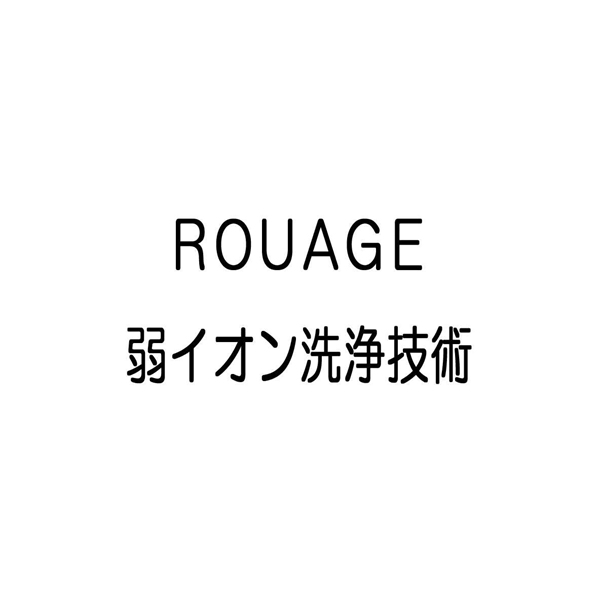 ＲＯＵＡＧＥ＼弱イオン洗浄技術
