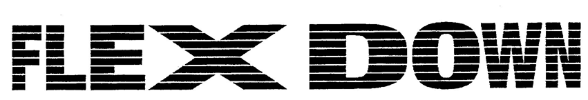 §ＦＬＥＸ　ＤＯＷＮ