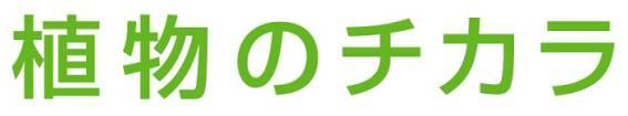 植物のチカラ