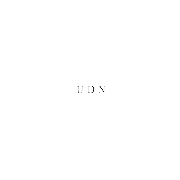 ＵＤＮ