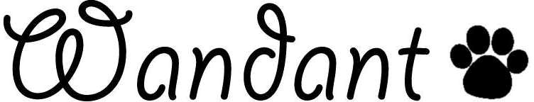 §Ｗａｎｄａｎｔ