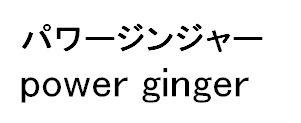 パワージンジャー＼ｐｏｗｅｒ　ｇｉｎｇｅｒ