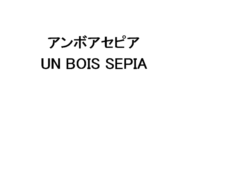 アンボアセピア＼ＵＮ　ＢＯＩＳ　ＳＥＰＩＡ