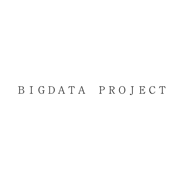 ＢＩＧＤＡＴＡ　ＰＲＯＪＥＣＴ