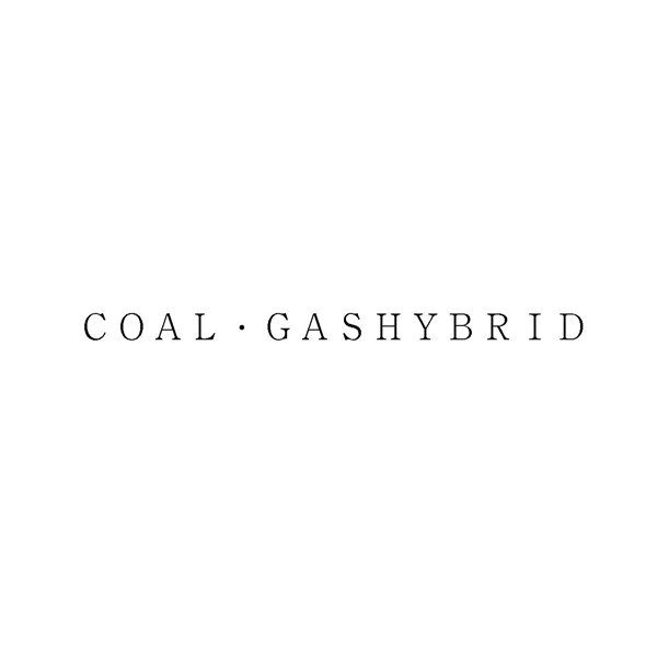 ＣＯＡＬ・ＧＡＳＨＹＢＲＩＤ