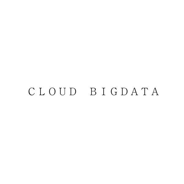 ＣＬＯＵＤ　ＢＩＧＤＡＴＡ