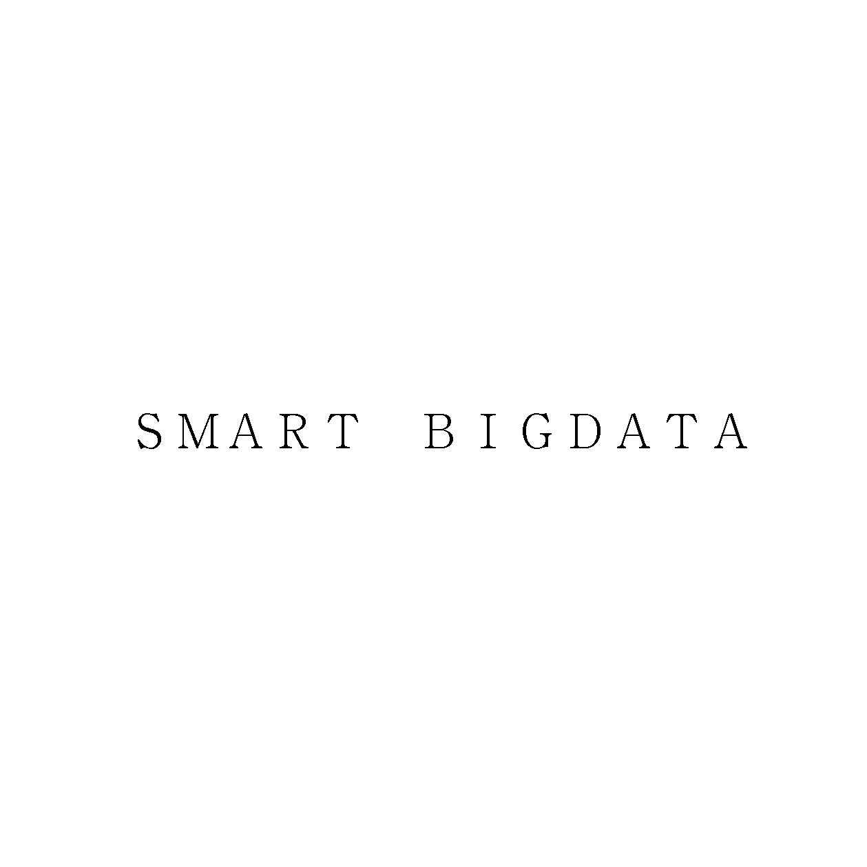 ＳＭＡＲＴ　ＢＩＧＤＡＴＡ