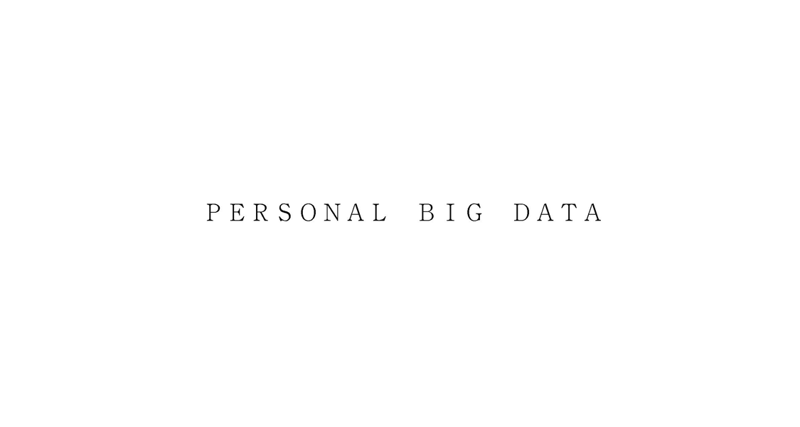 ＰＥＲＳＯＮＡＬ　ＢＩＧ　ＤＡＴＡ