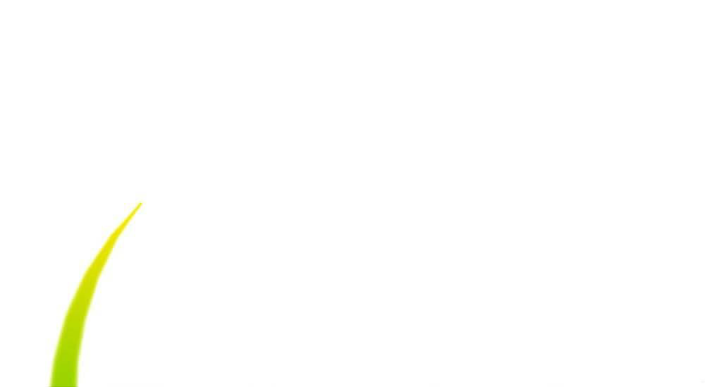 §ＥＣＯＵＳＥ