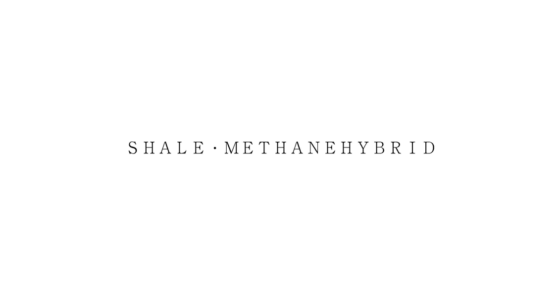 ＳＨＡＬＥ・ＭＥＴＨＡＮＥＨＹＢＲＩＤ