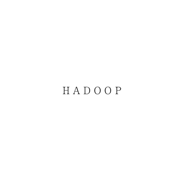 ＨＡＤＯＯＰ