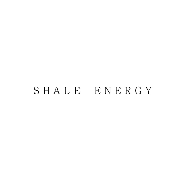 ＳＨＡＬＥ　ＥＮＥＲＧＹ