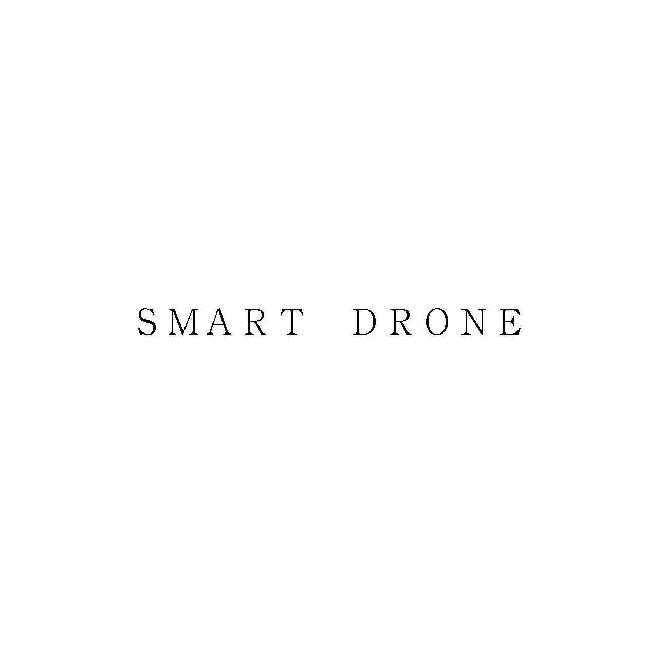 ＳＭＡＲＴ　ＤＲＯＮＥ