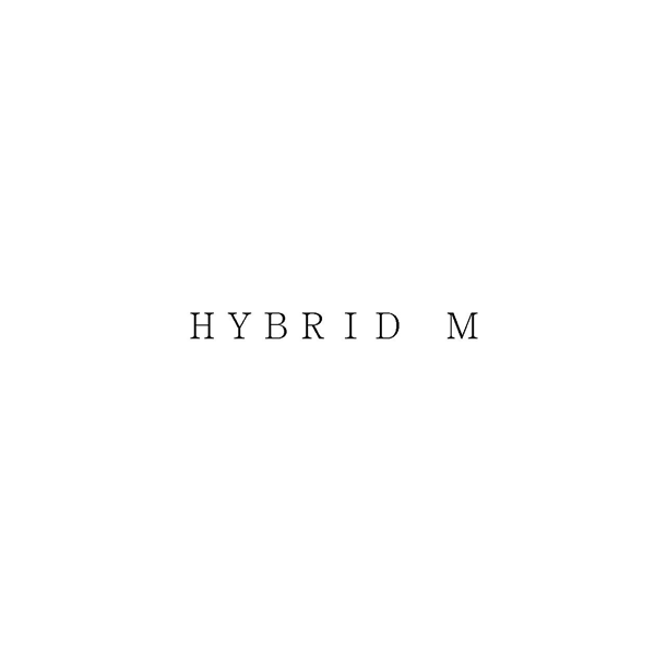 ＨＹＢＲＩＤ　Ｍ