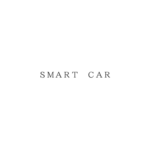 ＳＭＡＲＴ　ＣＡＲ