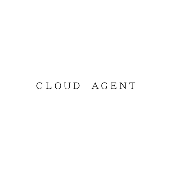 ＣＬＯＵＤ　ＡＧＥＮＴ