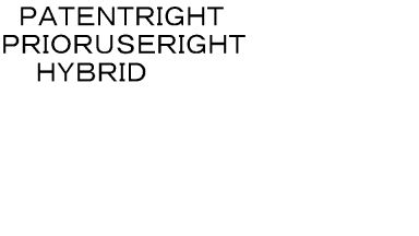 ＰＡＴＥＮＴＲＩＧＨＴ＼ＰＲＩＯＲＵＳＥＲＩＧＨＴ＼ＨＹＢＲＩＤ