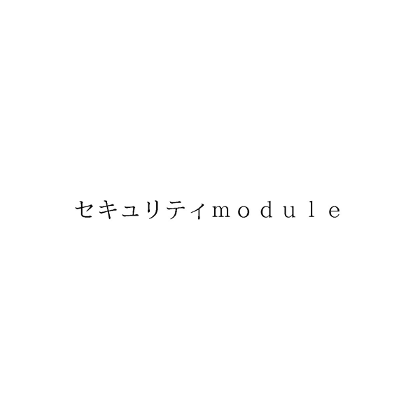 セキュリティｍｏｄｕｌｅ