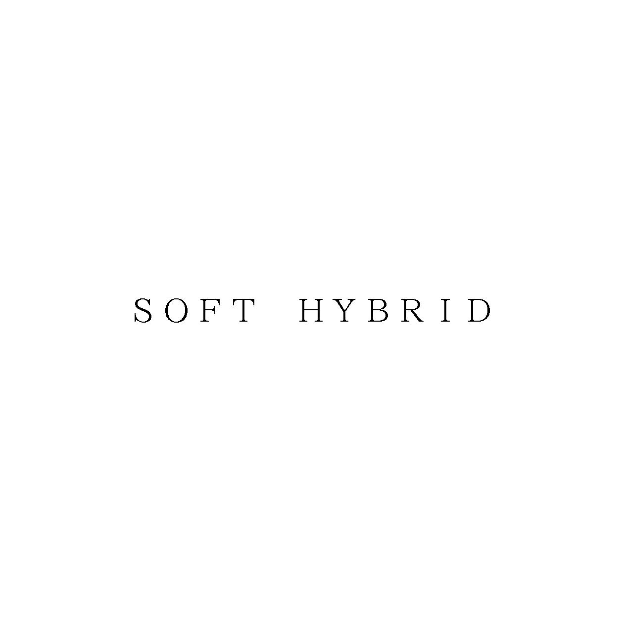 ＳＯＦＴ　ＨＹＢＲＩＤ
