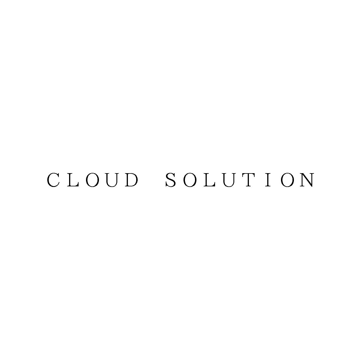 ＣＬＯＵＤ　ＳＯＬＵＴＩＯＮ