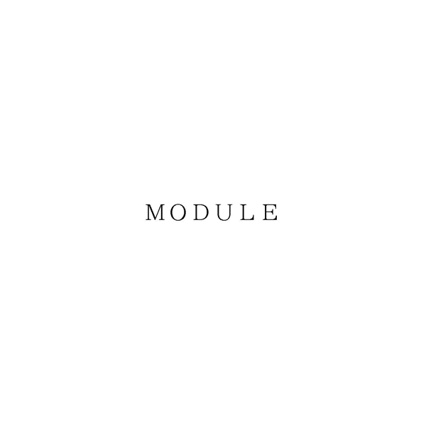 ＭＯＤＵＬＥ