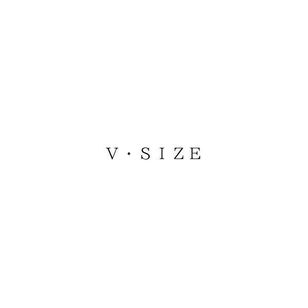 Ｖ・ＳＩＺＥ