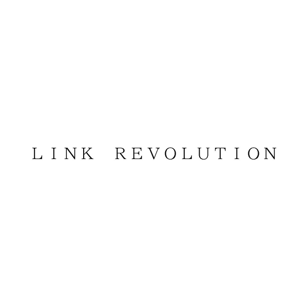 ＬＩＮＫ　ＲＥＶＯＬＵＴＩＯＮ