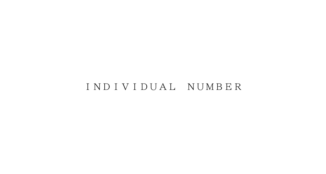 ＩＮＤＩＶＩＤＵＡＬ　ＮＵＭＢＥＲ
