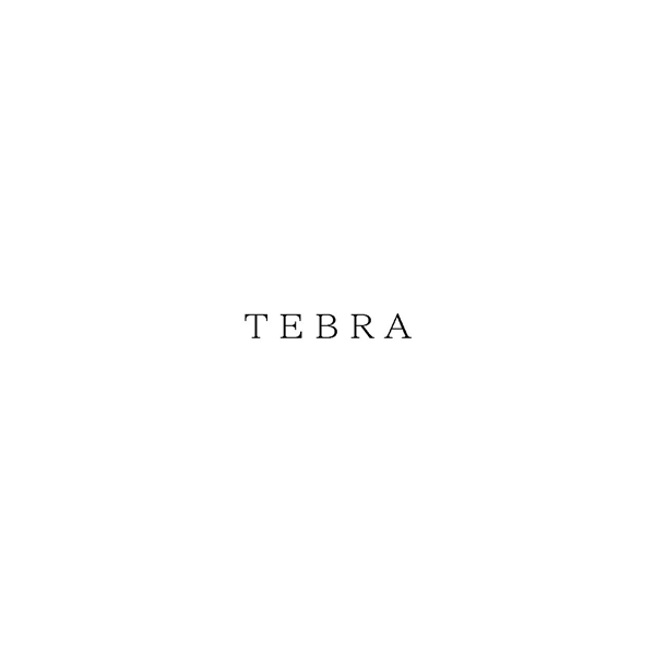 ＴＥＢＲＡ