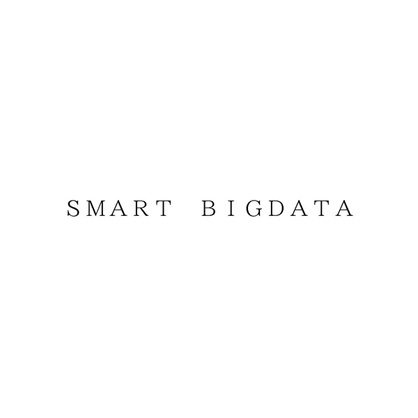 ＳＭＡＲＴ　ＢＩＧＤＡＴＡ