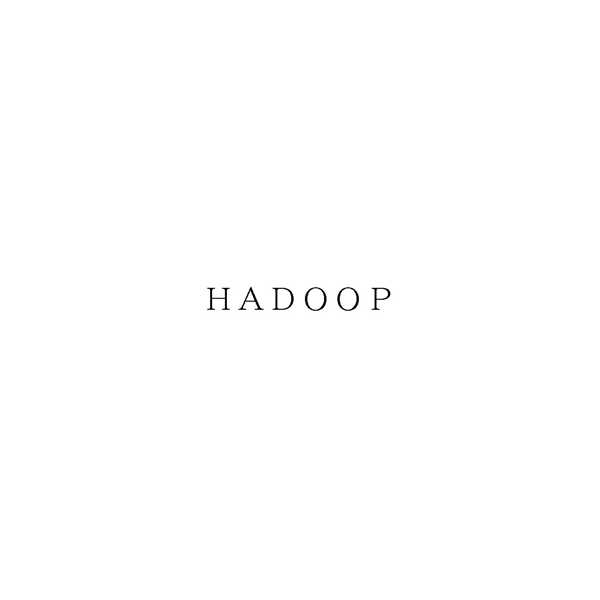 ＨＡＤＯＯＰ