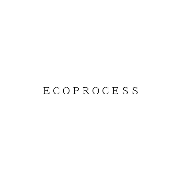 ＥＣＯＰＲＯＣＥＳＳ