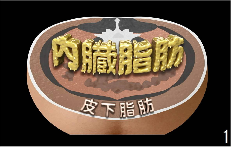 §内臓脂肪∞皮下脂肪
