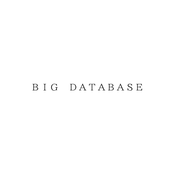 ＢＩＧ　ＤＡＴＡＢＡＳＥ