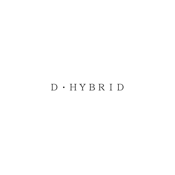 Ｄ・ＨＹＢＲＩＤ