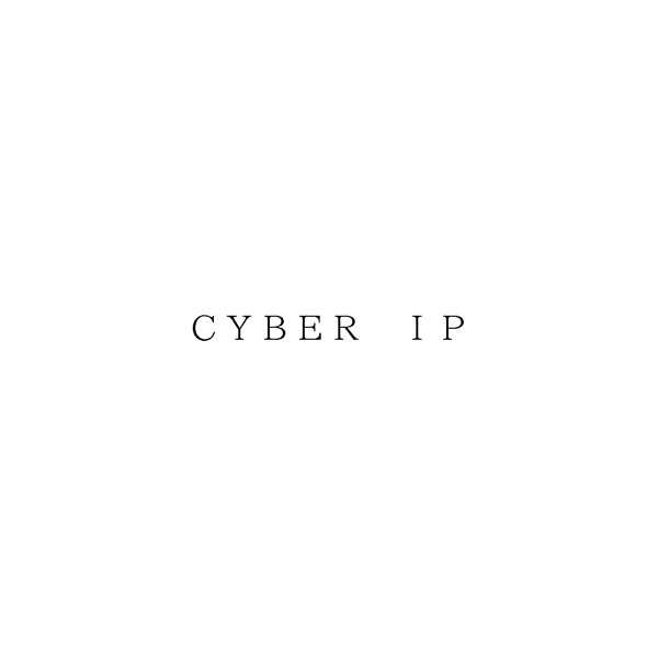 ＣＹＢＥＲ　ＩＰ