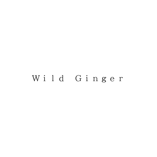 Ｗｉｌｄ　Ｇｉｎｇｅｒ