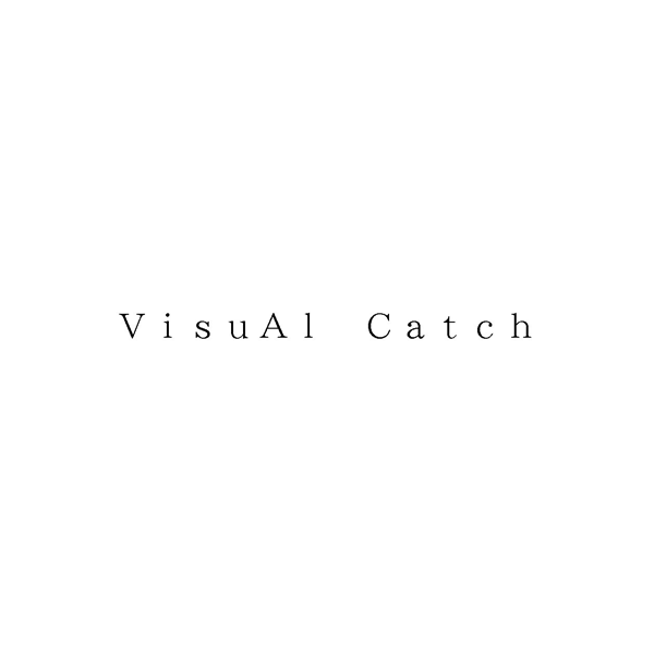 ＶｉｓｕＡｌ　Ｃａｔｃｈ