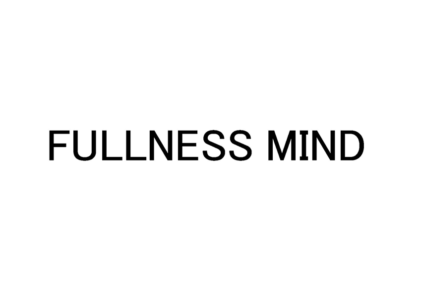 ＦＵＬＬＮＥＳＳ　ＭＩＮＤ