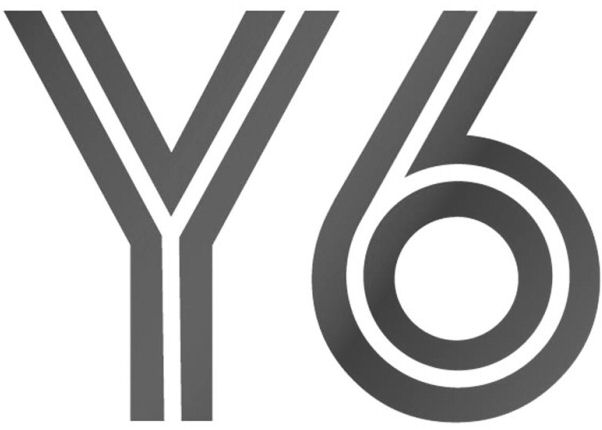 Y6