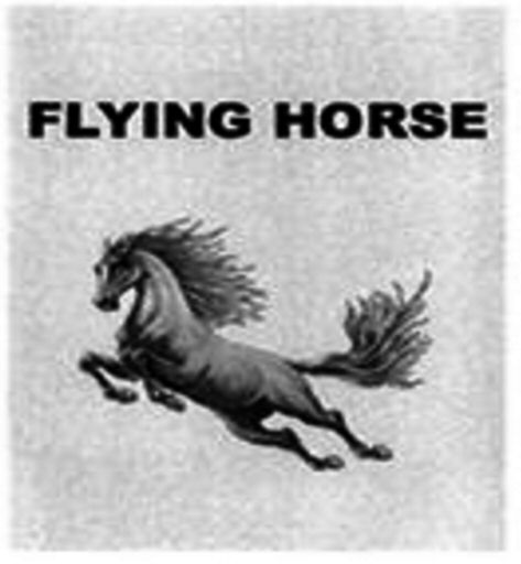 FLYING HORSE
