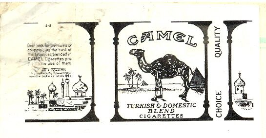 CAMEL