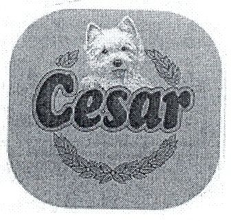 CESAR