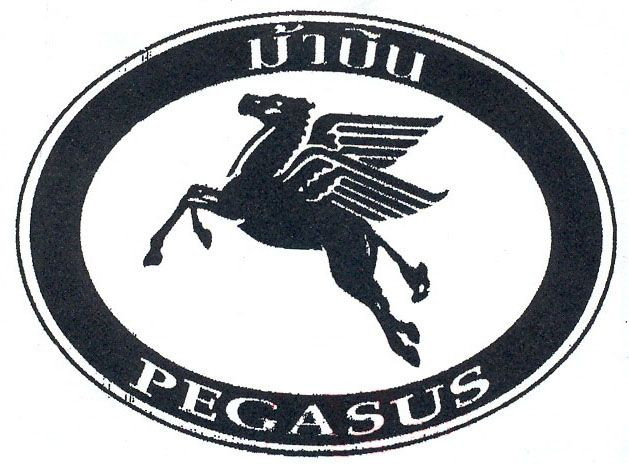 PEGASUS
