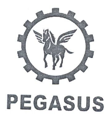 PEGASUS