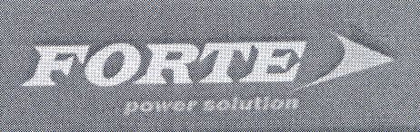 FORTE power solution