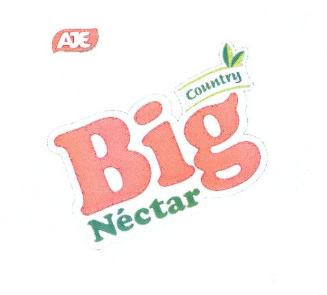 AJE Big