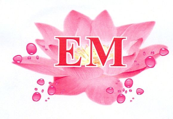 EM